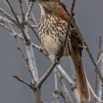 365体育直播网:全年无休的精彩体育赛事直播平台 ys2tm6xl2k